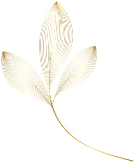 Gold Leaves Png Clipart In 2023 Flower Graphic Design Flower Art