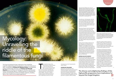 Mycology Unravelling The Riddle Of The Filamentous Fungi Docslib