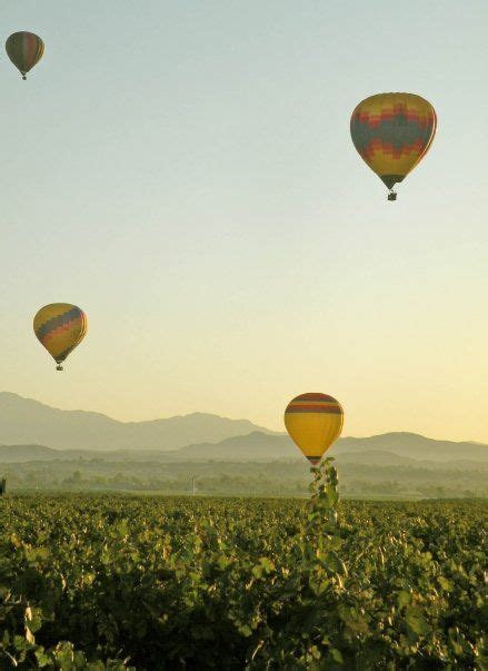 Hot Air Balloons Rising Over Temecula Valley Wine Country Southern