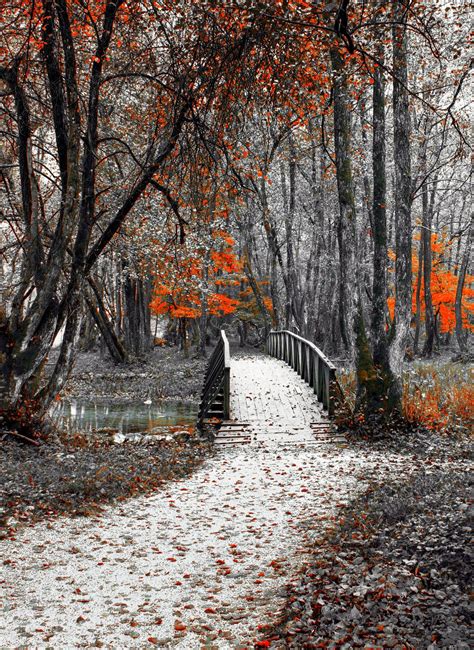 Bridge By Mevludin Sejmenovic Autumn Scenery Scenery