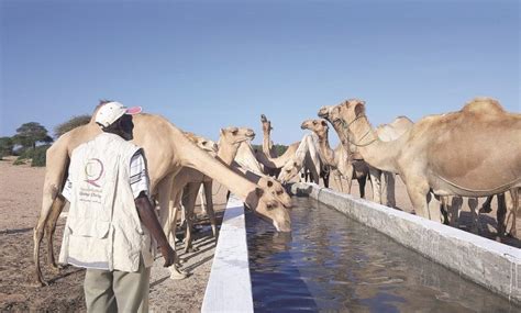 Qatar Charity Drilled 163 Wells In Somalia Last Year Whats Goin On Qatar