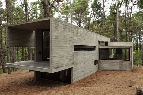 Forest Jd House By Bak Architects In Argentina
