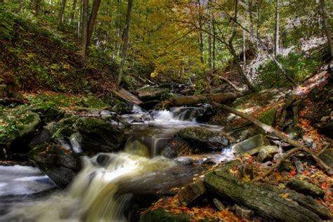 Small Forest River Stock Photo By ©cmeder 3360310
