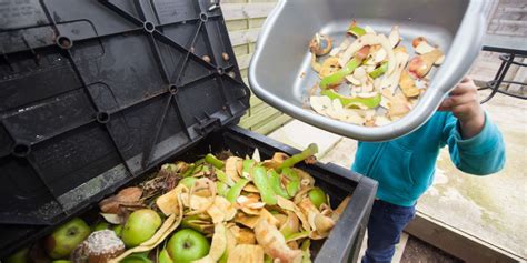 Most wasted food ends up on. It's Time to Deal with Food Waste | Toronto Sustainability ...