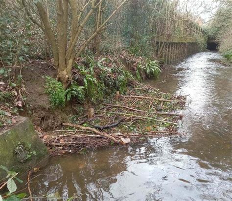 Leicesters And Oadbys Wildlife Gets A Nature Boost Trent Rivers Trust