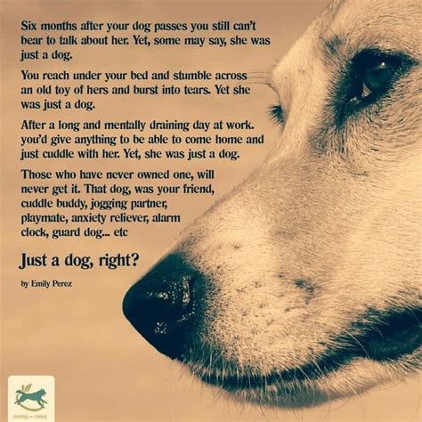 Pin By Brenda Scott On Lillys Memory Lane With Images Dog Poems