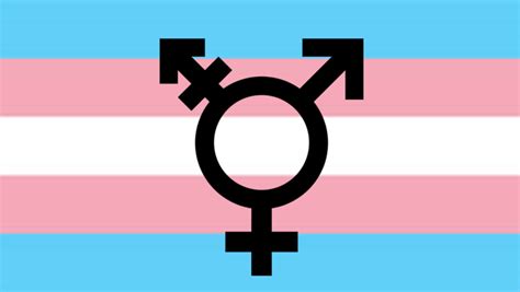 The trans flag represents the transgender community and consists of five horizontal stripes: Why we need to queer security studies