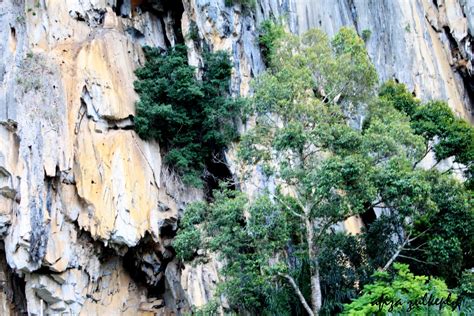 Sekarang gua tersebut menjadi daya tarikan pelancong kerana di dalam gua itu terdapat batu dengan pelbagai bentuk. Inspirasi : Gua Musang.. Lagi...?