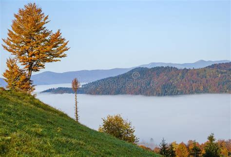 Morning Foggy Clouds In Autumn Mountain Countryside Ukraine