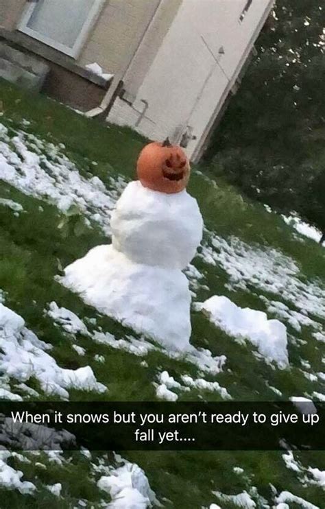 Dreams meme (gacha life)  part 2 of tonight meme °klayex. The best snowman memes :) Memedroid