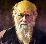 Photos of Darwin Theory Of Evolution Yahoo