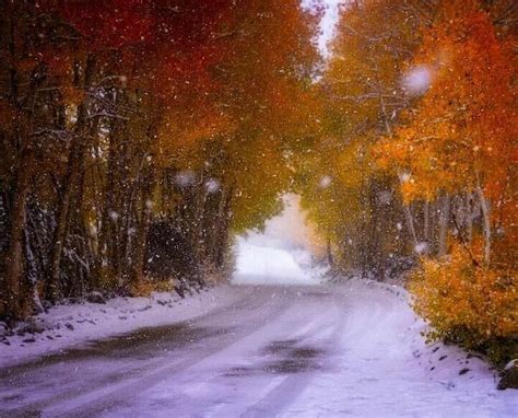 Stunning California Photos Capture How Snow Meets Fall In Snowliage