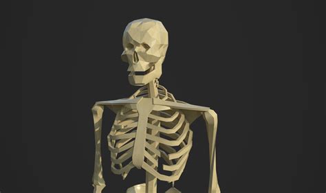 Artstation Low Poly Skeleton