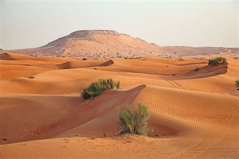 Arabian Desert Arid Sand Heat Britannica