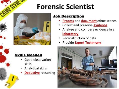 List And Describe The Different Branches Of Forensic