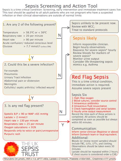 Identification And Management Of Sepsis The Bmj