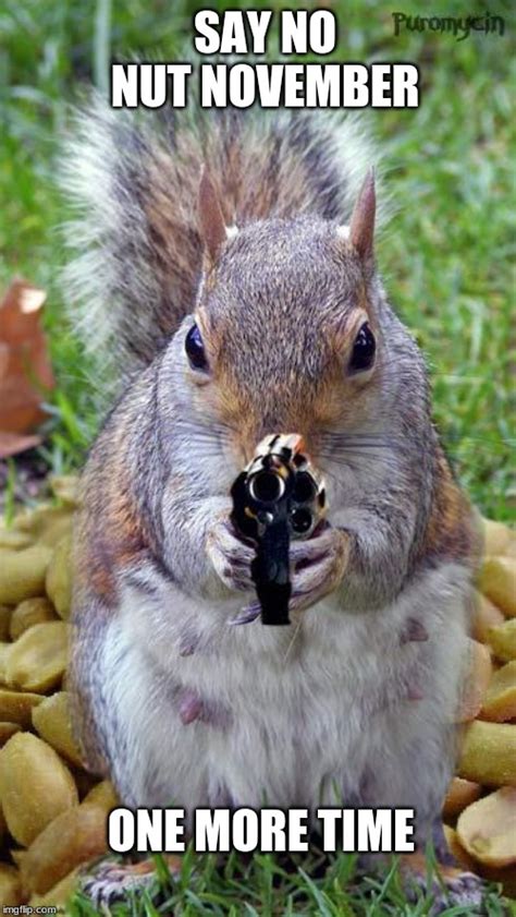 Funny Squirrels With Guns 5 Imgflip