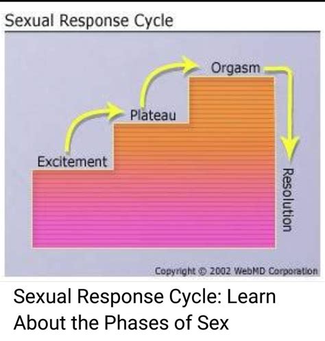 human sexual response kitai high school🏫 amino