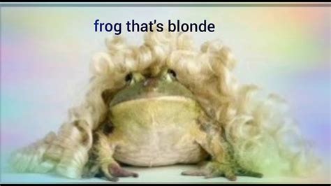 frog that s blonde youtube