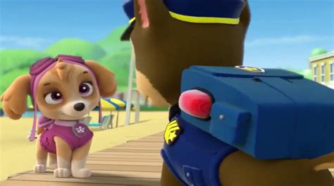Skye And Chase Skye And Chase Paw Patrol Photo 40131093 Fanpop