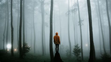 Man Fog Forest Standing Tree Trunk Loneliness Alone 4k Hd Alone