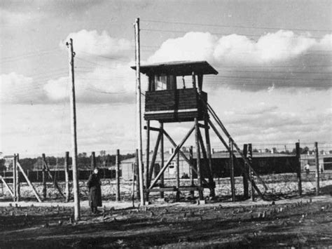 New Book Describes Life In And Escape From A German Pow Camp Stalag