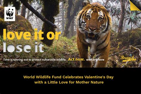 News Wwf Shows The World Some Love In New Campaign