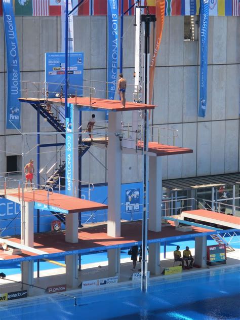 The Different Heights Of Diving Boards At The Olympics Incredible
