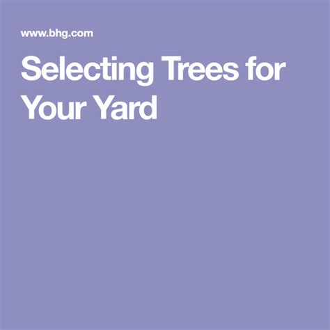 How To Select The Best Trees For Your Yard Tree Yard Decade Century