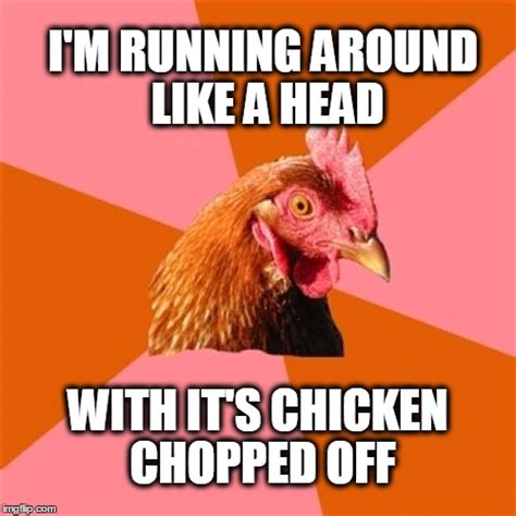 Chicken Run Meme