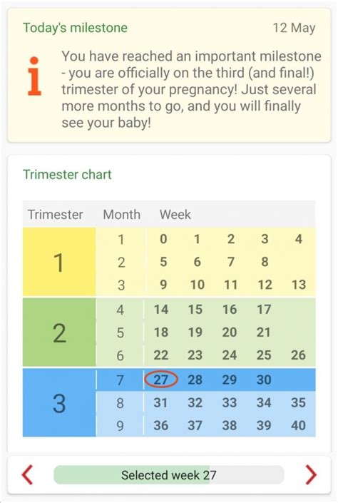 Pregnancy Calendar Makes It Quick And Easy To Find The Right