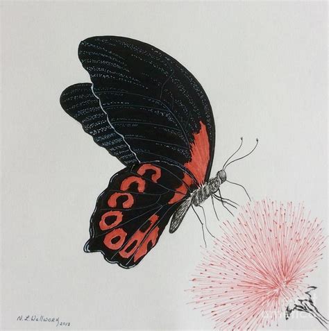 Black Butterfly Painting By Natalia Wallwork Fine Art America