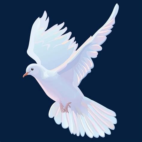White Dove Png Image A White Dove Vector Material White Pigeon