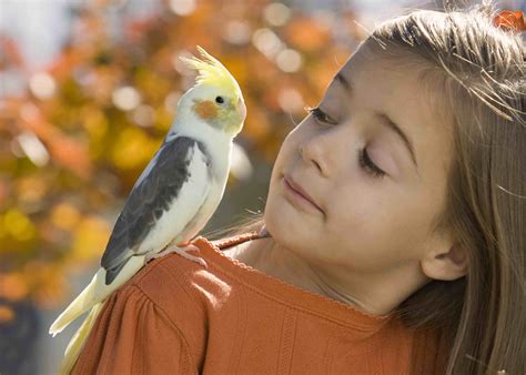 Birds That Make Great Pets For Kids