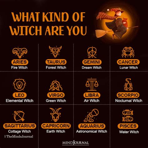 The Zodiac Signs As Different Types Of Witches Zodiac Memes