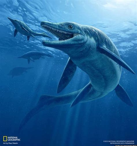 Ichthyosaur Fossil Spotlights Ancient Sea Monster World