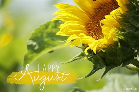 Happy August Pictures, Photos, and Images for Facebook, Tumblr ...
