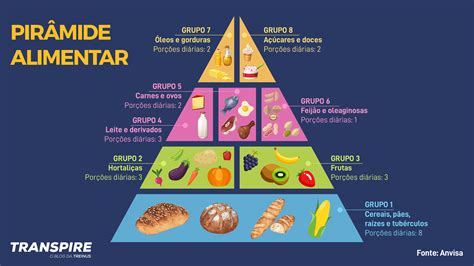 Qual A Função Da Piramide Alimentar