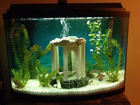 My New Greek Themed Fish Tank Fish Tank Decorations Fish Tank