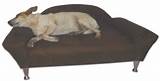 Pictures of Furniture Beds For Dogs