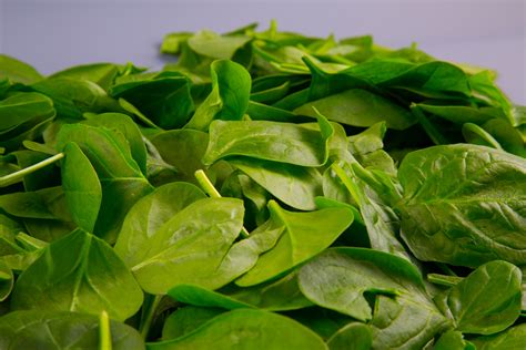 National Fresh Spinach Day | Interesting Thing of the Day