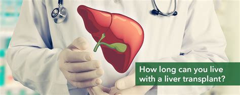Liver Transplant Life Expectancy What Is The Average Life Expectancy After A Liver Transplant