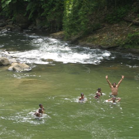 Layou River Dominica 2023 Tutto Quello Che Cè Da Sapere