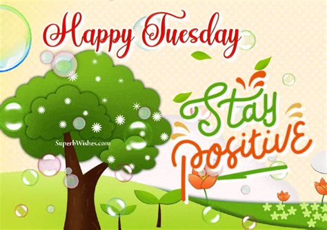 Happy Tuesday 2023 S Stay Positive