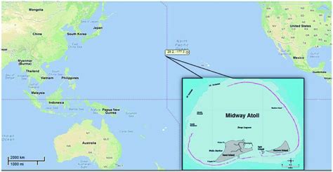Locations Of Study Area In The Midway Atoll North Pacific Ocean