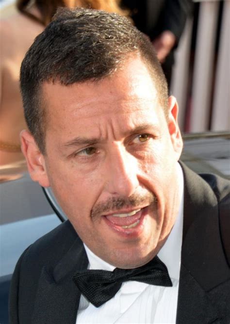 Sandler has since had a very successful career in film, with hits like happy gilmore, the waterboy since 2005, sandler has mainly focused on his film career, with gay robot groove being his last. Adam Sandler - Wikipedia