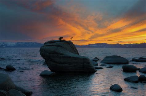 Bonsai Rock In Lake Tahoe Photograph By Adonis Villanueva