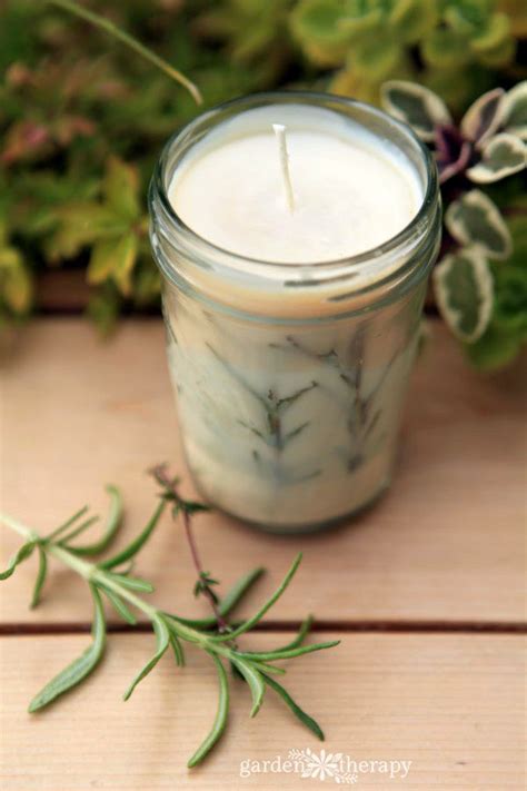 Evergreen Pressed Rosemary Candles How To Make Herbal Candles Herb