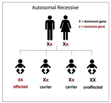Can a recessive trait be on the y chromosome. Genetics of Ocular Albinism - The Will to See
