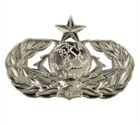 Vanguard Air Force Badge Cyberspace Support Senior Regulation Size